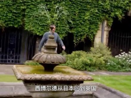 日本虎杖在英国泛滥成灾,不仅捣毁当地房屋,甚至还能杀人? #植物 #植物科普 #虎杖 #一日一植物 #日本虎杖
