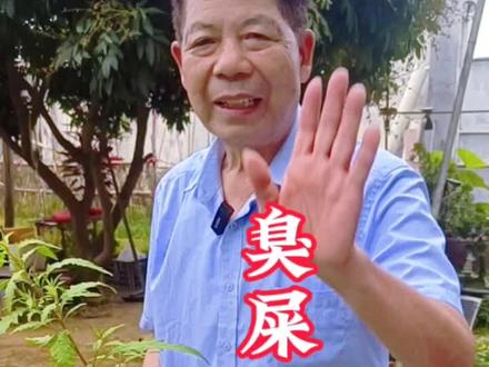 潮安县江东三吴小学附近
135***346+++51592