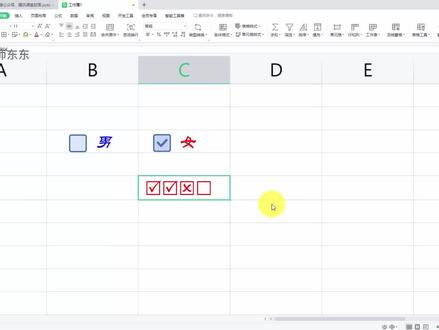 194集 | WPS表格,能打勾的方块,属性的设置! #excel技巧 #excel教学