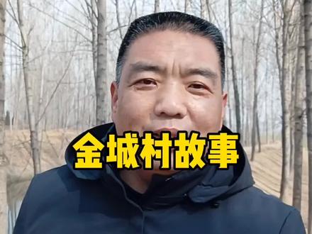 金城村的黄土下隐藏着一个古老的城,金城这个名字两千多年从未终断,聊聊金城村的故事!#老冯故事会#地名故事#村名传说#博爱县#金城村#金城乡#龙山文化#小麦