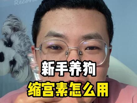 新手养狗缩宫素怎么用 最好别乱用#养宠进阶指南 #缩宫素 #养狗人