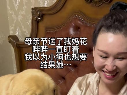 小狗好像天生就懂得如何爱人… #金毛 #狗狗 #母亲节