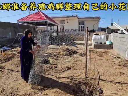 米娜准备在花园里养殖鸡群整理杂草,即将安装挤奶机器,米娜最新后续#纪录片#米娜