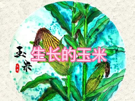 创意少儿美术课件《生长的玉米》PPT适合6-8岁幼儿#美术生 #画画 #创意美术 #手工 #幼儿园 #玉米