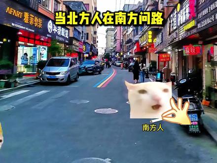 当北方人在南方问路#问路 #北方人 #动漫推荐 #热门推荐 #抖音