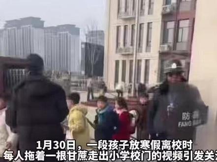 河南一小学放寒假发甘蔗