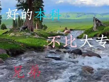 “好的本科不比大专差”#陈泽 #陈泽二创大赛 #热门 @陈泽-