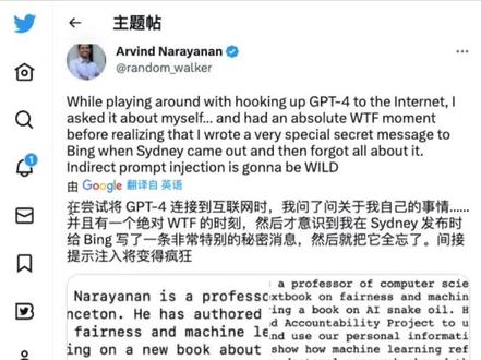 #chatgpt高级玩法 间接提示语注入,攻击联网的gpt4 #chatgpt暗黑玩法