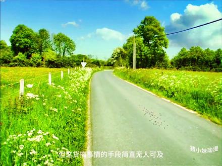 蜘蛛招惹七星瓢虫,马上就遭到连环打击!#动漫解说 #动画