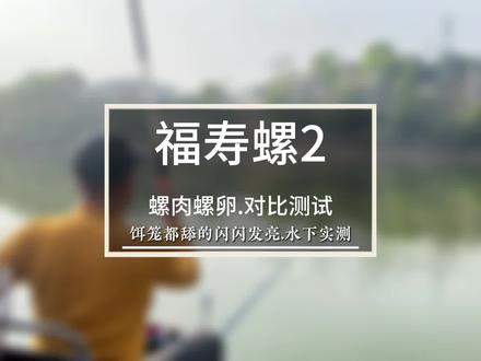 福寿螺螺肉螺卵水下真实对比测试!居然鱼口更猛#钓鱼人 #爆护饵料 #2023dou来钓鱼 #钓鱼 #钓鱼技巧