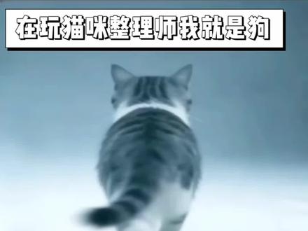 家人们…#猫咪整理师 #游戏 #游戏推荐