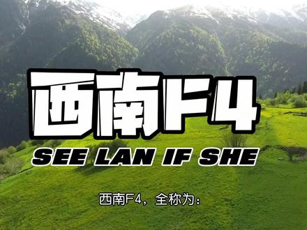 西南F4联盟组织公约#西南F4 #四川方言 #重庆方言 #云南 #贵州