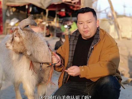 今天画的怎么样?#画画#素描头像