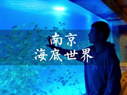 这个国庆,不用出城市,来南京海底世界就能拥有一场奇妙又浪漫的蓝色海洋历险!#南京打卡 #南京游玩攻略 #国庆超会玩指南 #提前预定国庆节旅行攻略 #国庆打卡南京海底世界