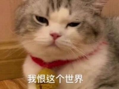 爹系男友和赖皮小画家的甜蜜恋爱日常,他俩开心就好真的不用管我的死活!#恋爱 #大无语事件 #吐槽