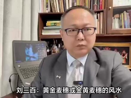 刘三百:黄金麦穗或金黄麦穗的风水使用方法与作用