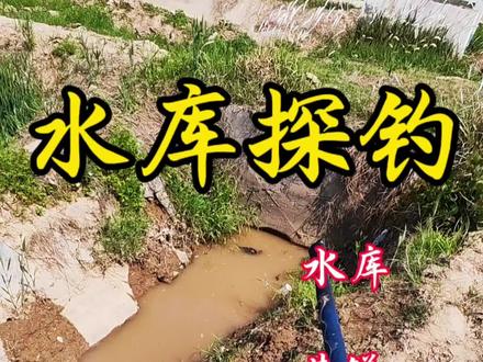 农村地头大水库,黄鳝连杆!#钓鱼 #钓鱼的乐趣只有钓鱼人懂 #钓鱼人就是这么疯狂 #沃鼎王者神剑 #dou上热门