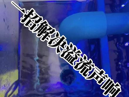 一招教你解决溢流下水声音大的问题,一般人我不告诉他!#养鱼日记 #海缸 #直角溢流噪音 #下水声音大 #鱼缸下水噪音