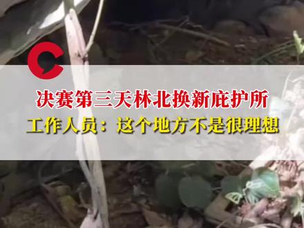 林北找到天然庇护所!决赛第三天乔迁定居山洞,工作人员称下雨一灌水就要搬走#荒野求生 #荒野林北 #七星山荒野求生决赛