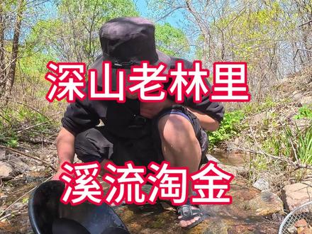 溪流淘金,深山老林探宝#户外 #淘金 #沙金 #黄金