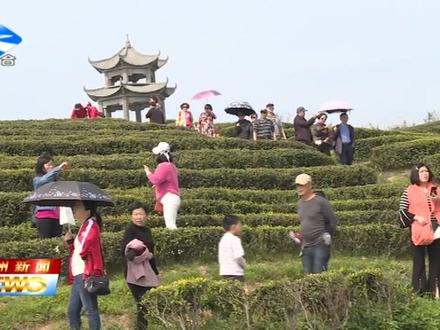【大爱深情润万州】沪万联姻 情漫万州