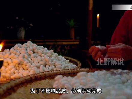 它被誉为“纤维皇后”,学会养蚕技能,穿越回古代实现财富自由 #养蚕 #丝绸 #传统文化 #非遗传承