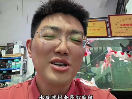 避坑,新手滤材怎么选?水族滤材都是智商税#养鱼日记