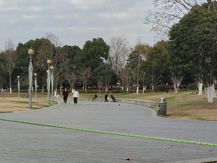 #倪海厦老师讲中医 #脾不好会引起血糖高#健脾的方法