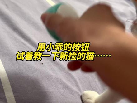 我好像又捡到了隐藏款的高智商小猫… #原创不易请勿抄袭洗稿
