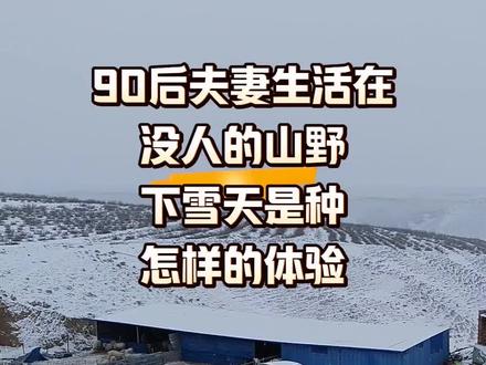 雪天山野,90后夫妻与600羊竟有这般奇妙体验!#三农 #新农人#我的农村生活记录 #羊肉