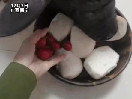 300斤宠物猪的减肥餐五个馒头两斤小番茄四个红薯,吃完了还不停叫要继续吃#猪猪