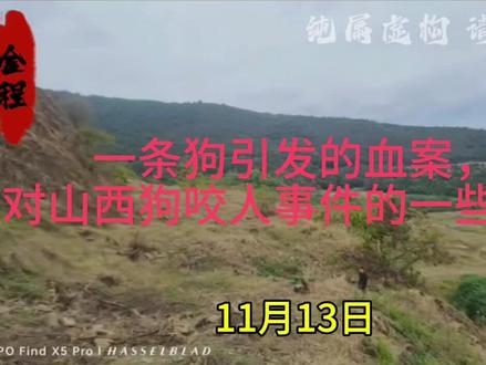 一条狗引发的血案,对山西狗咬人事件的一些看法