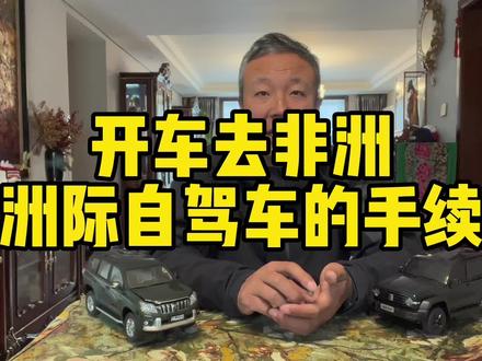 开车去非洲洲际自驾车的手续ATA单证册#越野 #旅行大玩家 #坦克300