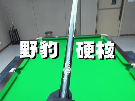 一根野豹 打破家徒四壁#台球 #野豹硬核
