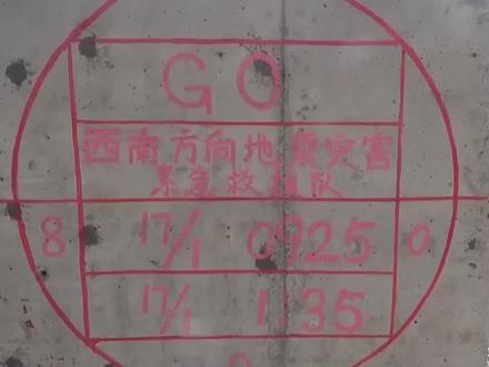 地震救援在墙上留下标识代表什么意思?