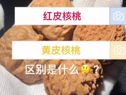 阴阳☯️皮?#文玩核桃 #文玩爱好者 #野生小众文玩核桃 #文玩 #文玩知识 #文玩人 #文玩女孩