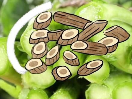 #板蓝根青菜 首次大规模上市,能抗病毒么?#春菜 #健康科普