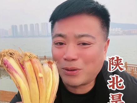 陕北旱地红葱 自从吃了陕北旱地红葱,我嘴里天天一股子旱地红葱的味道,兄弟们这葱有实力,有劲儿#陕北旱地红葱 #红葱#美食测评