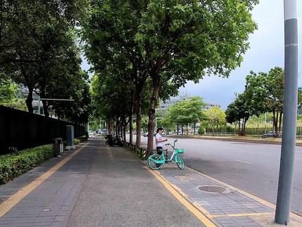 5.0折叠尾架,后座PP终于有救了 #九号电动 #九号机械师 #折叠尾架 #铁酷奇 #电动车尾架