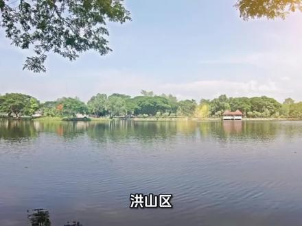 洪山区黄家湖湿地公园是武汉市的一处重要生态景观和休闲场所,以下是其详细介绍:
### 基本信息
- **地理位置**:位于武汉市洪山区青菱街道,南临青菱湖,北接黄家湖大学城,东靠湖北中医药大学,西至李桥村。
- **面积规模**:总面积约928.73公顷 ,其中陆地面积约456.10公顷,绿地面积约379.50公顷,水体面积约472.63公顷。
- **开放时间**:全天免费开放。
### 生态资源
- **植物**:公园内植被丰富,有各种乔木、灌木、草本植物等,形成了多层次的植物群落结构,为众多生物提供了良好的栖息环境。
- **动物**:作为湿地生态系统,吸引了大量的鸟类、鱼类、昆虫等生物在此繁衍生息,是观鸟爱好者的好去处,常见白鹭等水鸟在湖面上翩翩起舞。
### 功能分区与景点
- **入口景观区**:包括主入口广场和次入口区域,设有停车场、管理用房等配套设施,是游客进入公园的主要通道和集散地。
- **湿地区**:保留了大面积的自然湿地,种植了芦苇、菖蒲等湿生植物,净化水质的同时,营造出优美的湿地景观,游客可以沿着木栈道深入湿地,近距离观赏湿地生态。
- **林地区**:由乔木、花灌木等组成,形成郁闭度较高的树林,为游客提供遮荫避暑的场所,同时也增加了公园的生态稳定性和景观层次感。
- **滨水休闲区**:结合现状地形及高差,布置有亲水平台、木栈道、休憩亭等设施,供游客休憩、观景和垂钓,欣赏黄家湖的美丽湖景。
- **运动健身区**:配备了篮球场、羽毛球场、健身器材等运动设施,满足不同年龄段游客的运动需求,促进全民健身。
### 文化特色
- **历史文化底蕴**:黄家湖所在区域有着悠久的历史和丰富的文化内涵,周边分布着许多历史文化遗迹和高校,如武汉工商学院、湖北中医药大学、武汉科技大学等,为公园增添了浓厚的人文氛围。
- **科普教育意义**:作为一个以生态保护为主题的湿地公园,黄家湖湿地公园具有重要的科普教育价值,通过设置科普宣传栏、开展科普活动等方式,向公众普及湿地知识和生态环境保护的重要性,增强人们的环保意识。
### 交通指南
- **公交**:可乘坐公交到达附近站点后步行前往,如653路公交可直达黄家湖湿地公园附近。
- **地铁**:可先乘坐地铁到附近站点,再换乘公交或步行到达公园。例如,乘坐地铁5号线到终点站武汉站,然后换乘公交前往;或乘坐地