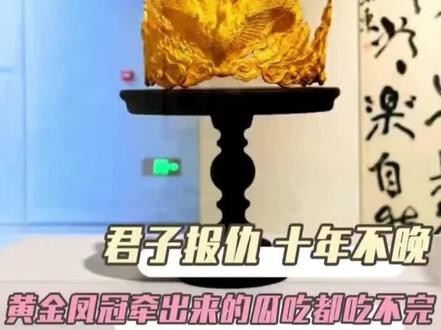 大哥:终于让我找到机会了! #张凯毅 #张凯毅回应凤冠事件后续 #翻车 #内容过于真实