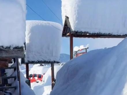 12.11日📍阿勒泰实况,可以提前过圣诞啦 禾木今日最低气温在-24℃,这几天的连续大雪🌨️,已经把禾木村变成了圣诞老人🎅的童话小镇,村子里满满的圣诞氛围感🎄,雾凇和粉雪随处可见,禾木已经可以正常通行了✅,想来玩雪滑雪过圣诞的宝子可以放心出发啦~#新疆旅游攻略 #阿勒泰 #禾木 #圣诞节 #新疆小团