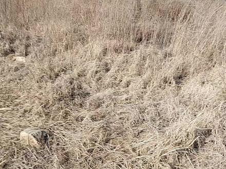 恳请有关部门调查取证