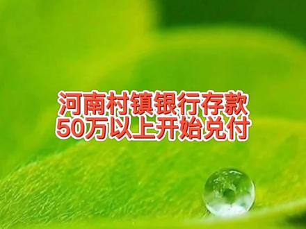 河南四家村镇银行存款50万以上兑付,储户安心过年,本金没啥损失 #河南村镇银行最新消息