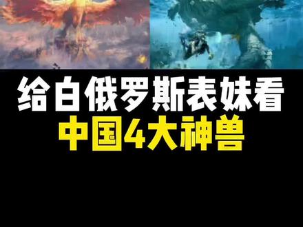 给白俄罗斯表妹看中国4大神兽#青龙 #白虎 #朱雀 #玄武