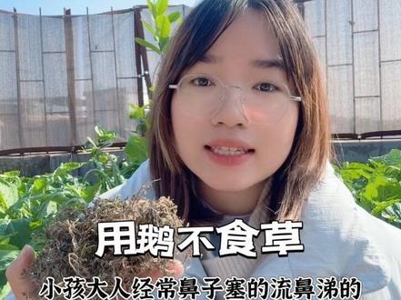 回复 @4556899的评论 d1岁以上宝宝年龄太小不需要煮来熏鼻子哈,12岁以上的可以试试鹅不食草#鼻塞怎么办 #鼻塞缓解窍门 #鼻塞 #宝宝鼻塞 #鹅不食草