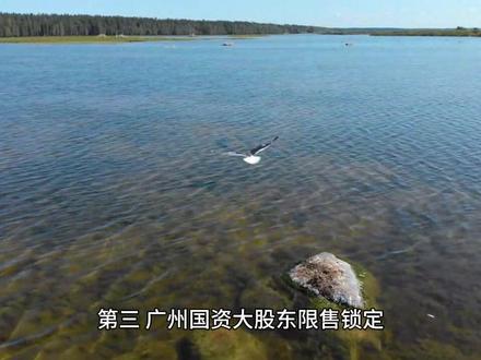001365 天海电子深度拆解,河南企业为啥是广东国资?
新股 001365 完整科普,线束龙头真实背景
从新加坡退市重回 A 股,001365 什么来头
#天海电子 #新股科普 #汽车零部件 #国资概念股