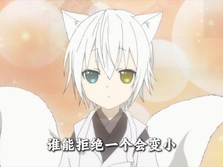 忠犬加腹黑,白毛加异瞳。御狐神双炽你的权威我后知后觉。 #妖狐x仆ss #炽蝶 #充能计划 #青年创作者成长计划 #纯爱