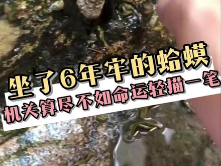 蛤蟆:6年,你知道这6年我是怎么过来的吗 #癞蛤蟆 #抽象 #万万没想到 #搞笑 #离谱