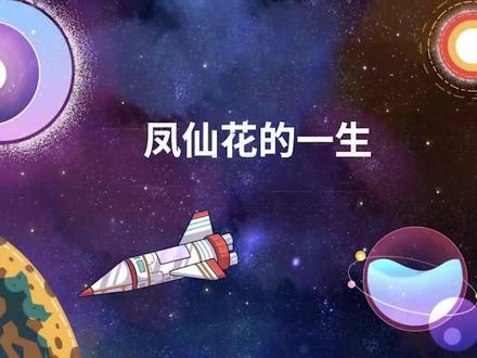 四下科学《凤仙花的一生》